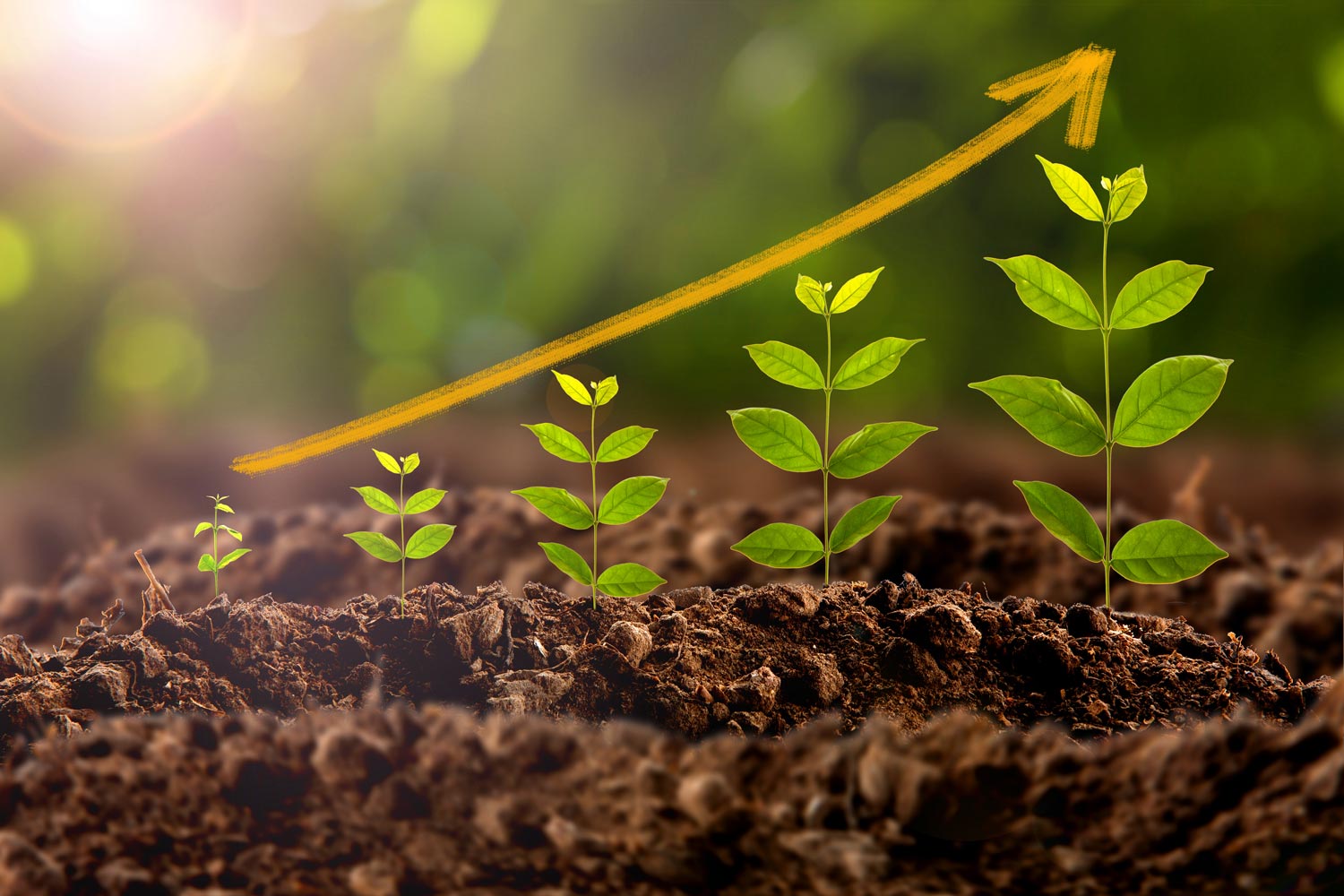 trailblazing-entrepreneurs